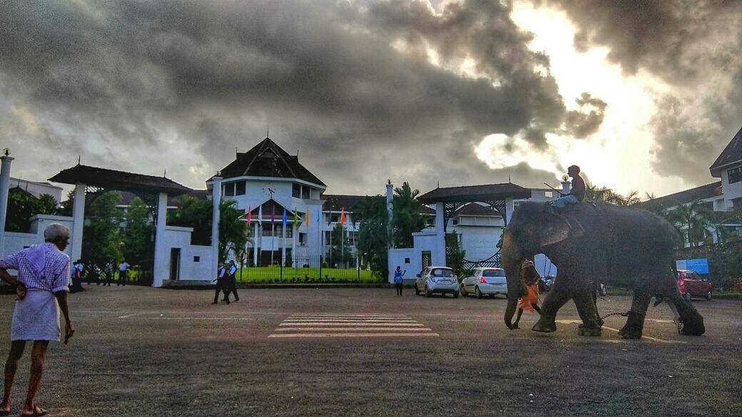 Saintgits College of Engineering Kottayam Academic Building photo 4